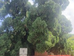 -四门塔风景区