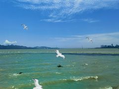 -深圳湾公园(南山区)