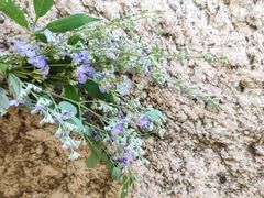 -碓臼峪自然风景区