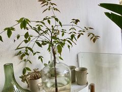 -几静cafe(基湖店)