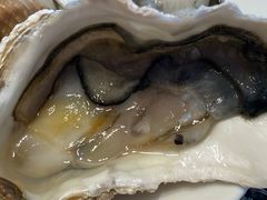 -白天鹅宾馆·流浮阁咖啡厅