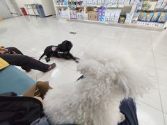 -美联众合动物医院·24h京西诊疗中心