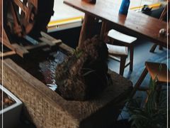 -冯记白土岗辣子鸡