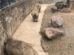-无锡动物园·太湖欢乐园