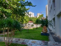 -海口市第一中学