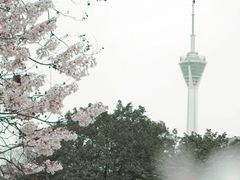-成都市活水公园