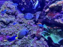 -成都浩海立方海洋公园