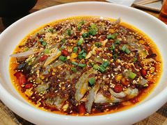-铁公鸡·四川料理(天环广场店)