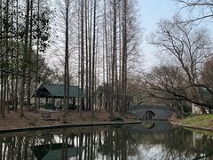 -上海滨江森林公园