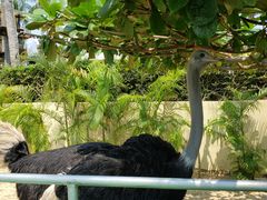 -三亚亚龙湾天域度假酒店