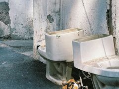 -吾介小籠館