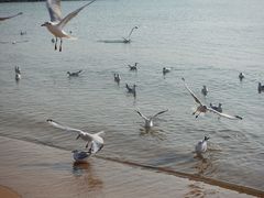 -青岛第二海水浴场