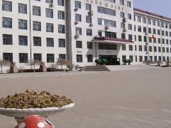 -东北师范大学附属中学(自由校区)