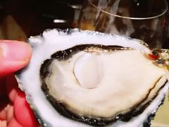 -普朗姆生蚝吧(原建国路店)