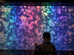 -烟台海昌鲸鲨海洋公园