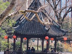 -上海醉白池公园