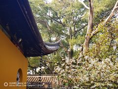 -西园戒幢律寺