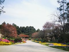 -秀丽东方