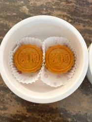 -巍阁高端月子会所