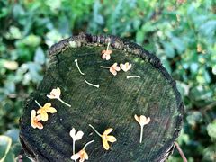 -黔灵山公园-南门售票处