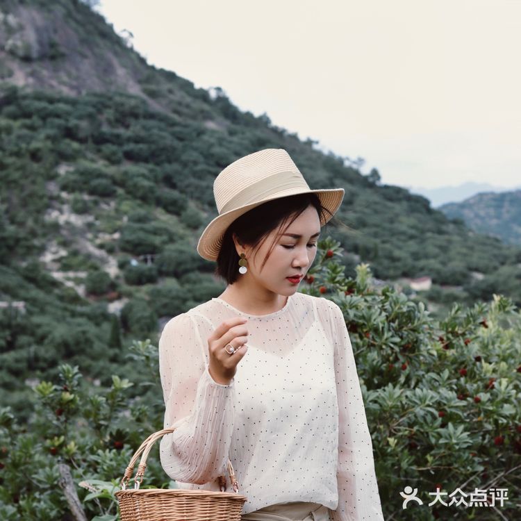 江浙沪周边游 | 又到杨梅季仙居杨梅熟了