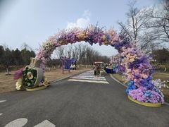 -江苏三台山国家森林公园