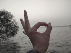 -宝安西湾红树林湿地公园