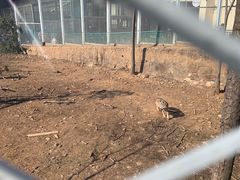 -无锡动物园·太湖欢乐园