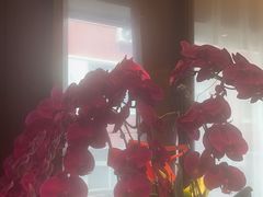 -喜湘宴·精致湖南菜(和平西桥店)