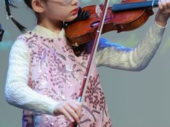 -武汉音乐学院徐东基地