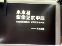 -小木马儿童摄影