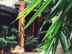 -文儒九号·闽菜馆(三坊七巷店)