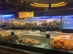 -苏格里岛自助海鲜烤肉火锅(集美万达店)