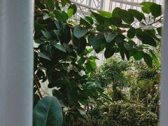 -郑州植物园