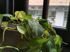 -思南书局(复兴中路店)