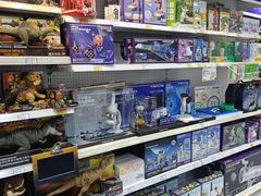 -TOYSRUS玩具反斗城(大连恒隆广场店)