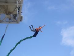 -巨鹏飞梦幻海岸