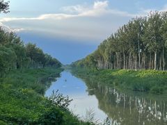 -东郊湿地公园