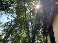 -宝通禅寺
