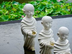 -梅林春晓花园餐厅
