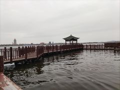 -厦门园林博览苑