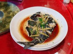 清蒸遇龙河剑骨鱼-生态苑农庄(十里画廊遇龙河店)