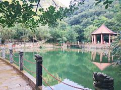 -连云港云龙涧原生态风景区