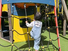 -卓悦童国际幼儿园