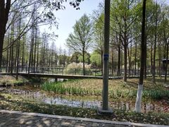 -尚贤河湿地
