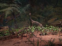 -自贡恐龙博物馆