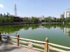 -金城公园