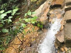 -牛鱼嘴原始生态风景区