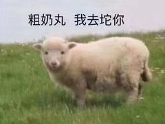 -伯爵·沉浸式超级密室·直营店