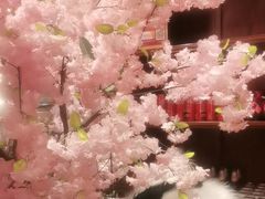 -小吊梨汤·北京菜·烤鸭(西直门凯德店)